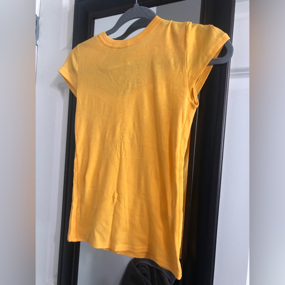 Everlane Organic Transparent T Shirt